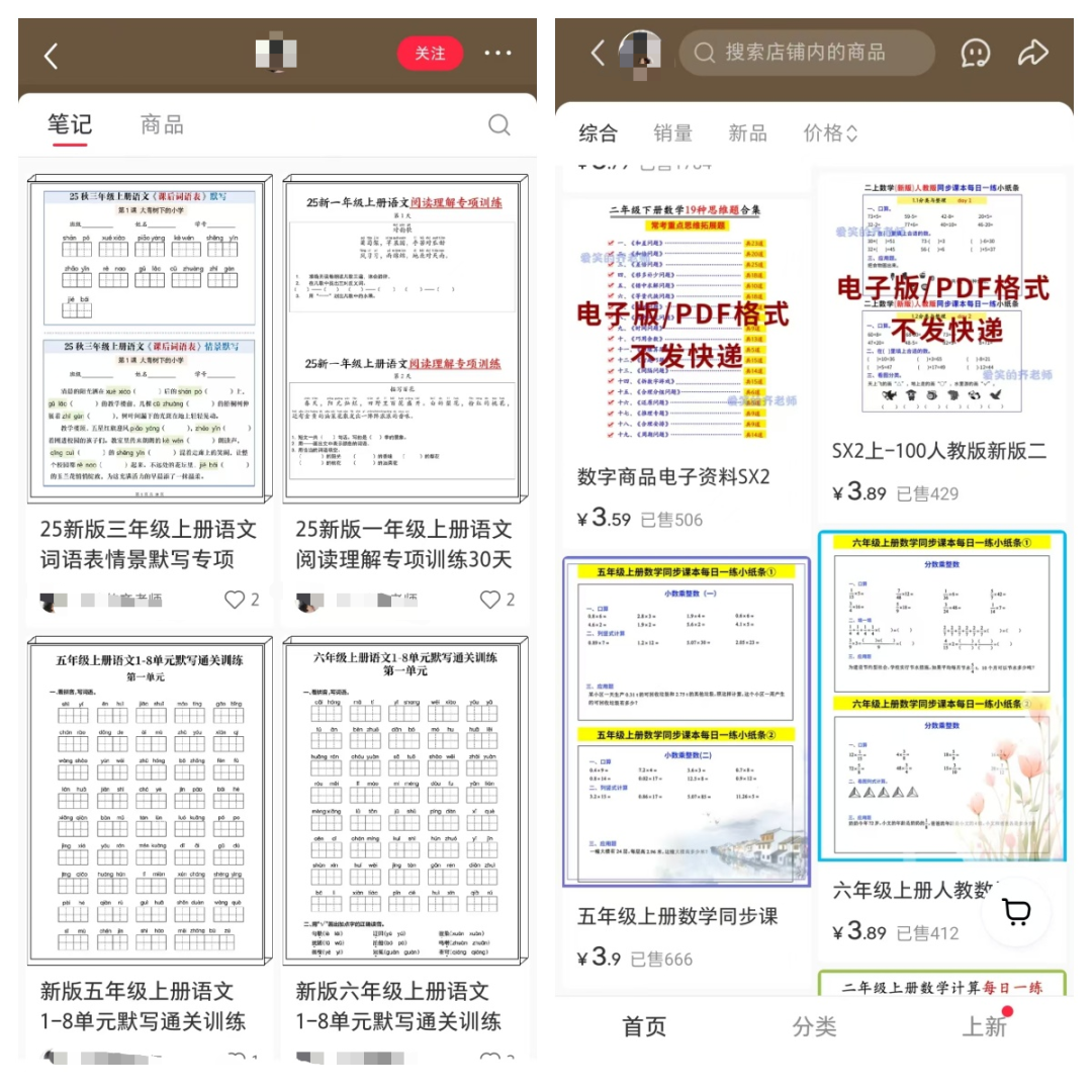靠谱副业项目：小红书开店，1年20w+，新手小白也能简单操作